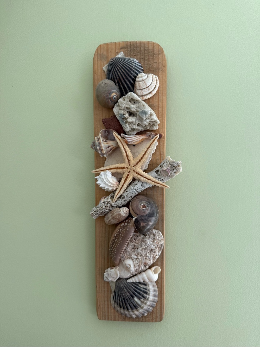 Coastal Seashell Wall Sconce Decor - Natural Beige